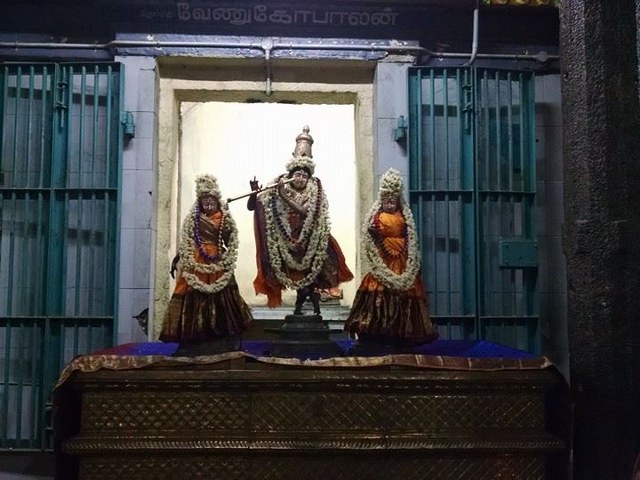 Thiruvahindrapuram Sri Devanatha Perumal Temple Sri Jayanthi Utsavam thirumanjanam 2014 4