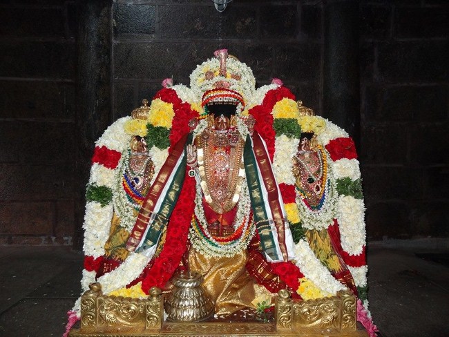 Thiruvahindrapuram Sri Devanathan Perumal Sani Kizhamai Purappadu4