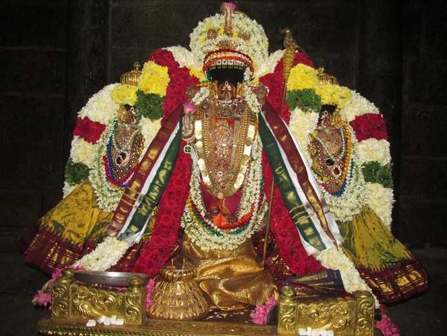 Thiruvahindrapuram Sri Devanathan Perumal Sani Kizhamai Purappadu7