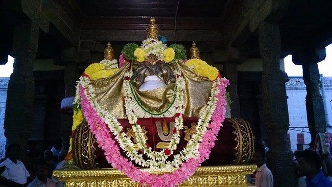 Thiruvahindrapuram Sri Devanathan Perumal Temple  Ammavasai Purappadu 1