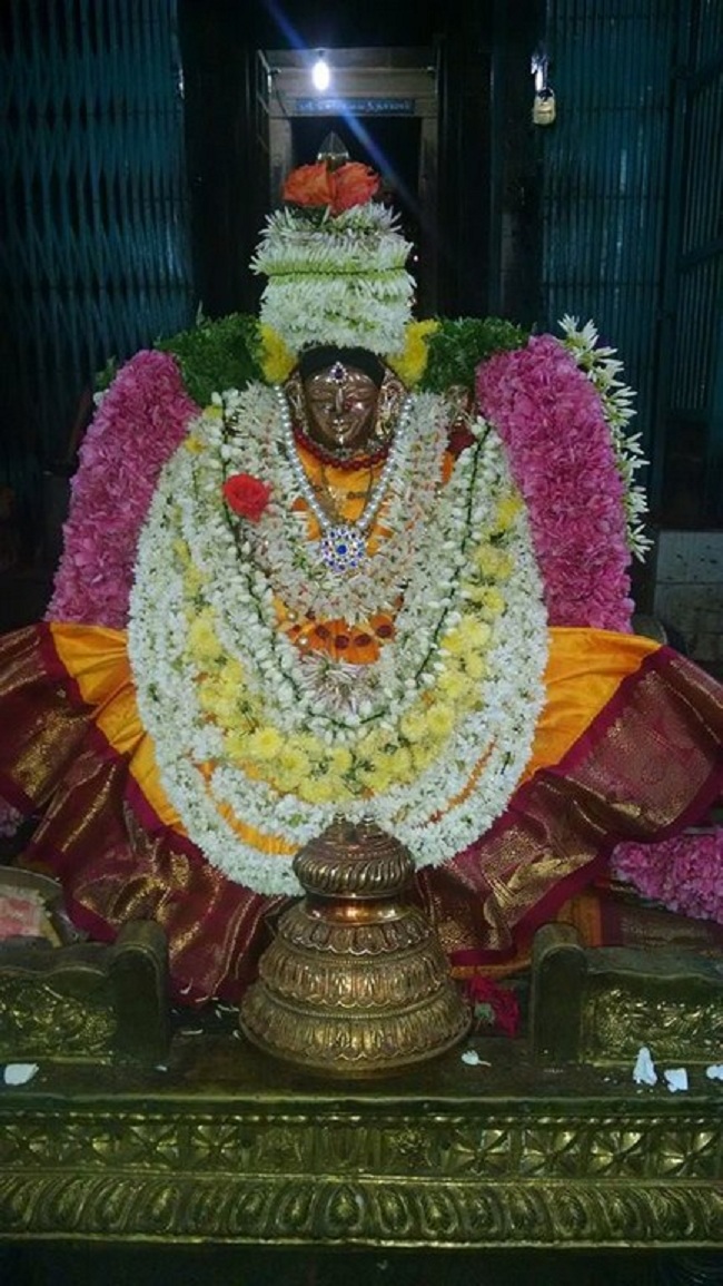 Thiruvahindrapuram Sri Devanathan Perumal Temple  Ammavasai Purappadu 10
