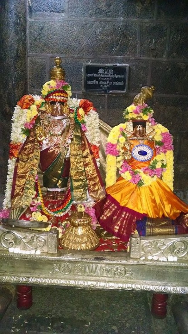 Thiruvahindrapuram Sri Devanathan Perumal Temple  Ammavasai Purappadu 12
