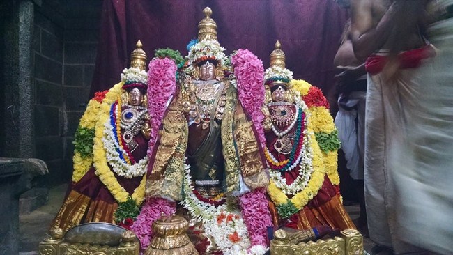 Thiruvahindrapuram Sri Devanathan Perumal Temple  Ammavasai Purappadu 13