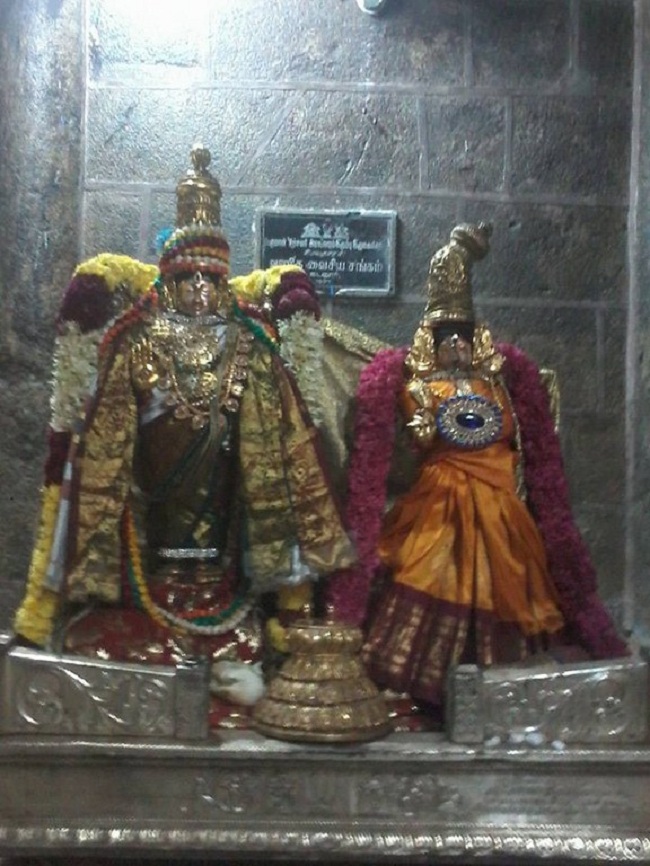Thiruvahindrapuram Sri Devanathan Perumal Temple  Ammavasai Purappadu 4