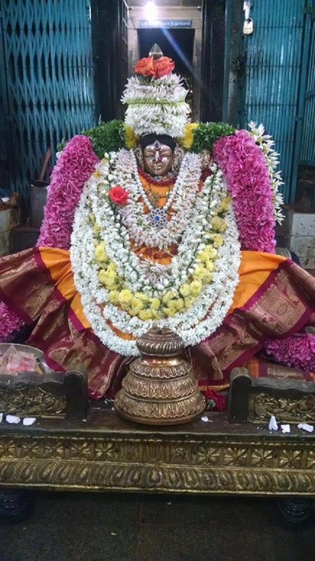 Thiruvahindrapuram Sri Devanathan Perumal Temple  Ammavasai Purappadu 6