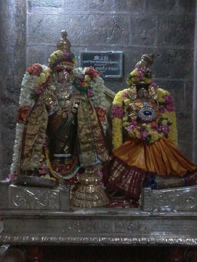 Thiruvahindrapuram Sri Devanathan Perumal Temple  Ammavasai Purappadu 7