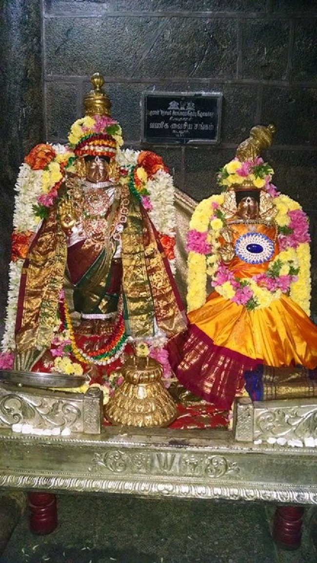 Thiruvahindrapuram Sri Devanathan Perumal Temple  Ammavasai Purappadu 8