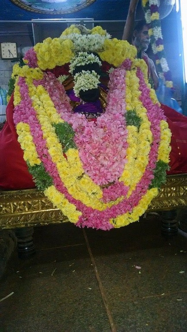Thiruvahindrapuram Sri Devanathan Perumal Temple Ekadasi And Vellikizhamai Purappadu4