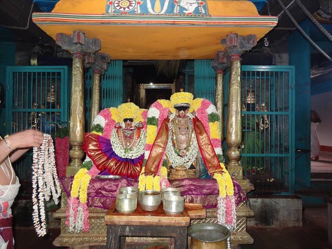 Thiruvahindrapuram Sri Devanathan Perumal Temple Navarathiri Utsavam5