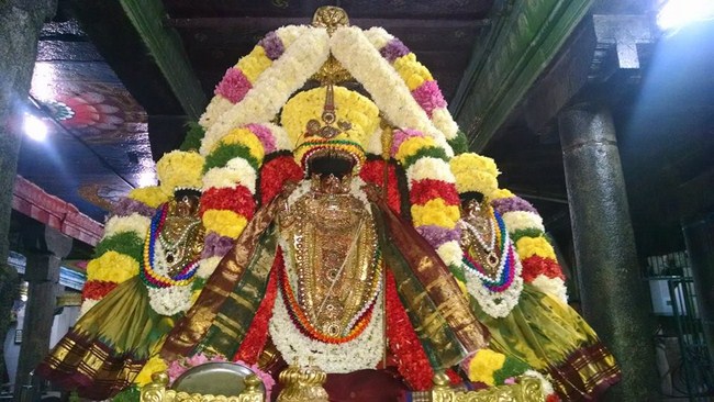 Thiruvahindrapuram Sri Devanathan Perumal Temple ThiruPavithrothsavam Concludes1
