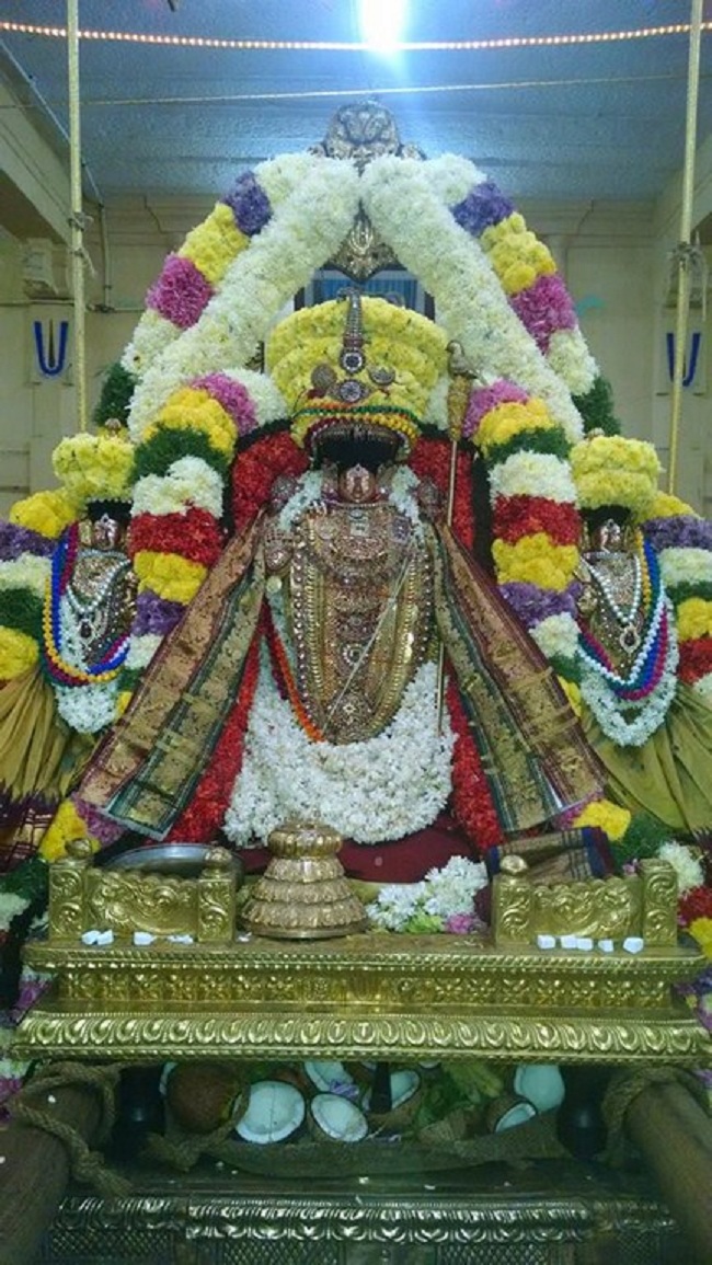 Thiruvahindrapuram Sri Devanathan Perumal Temple ThiruPavithrothsavam Concludes15