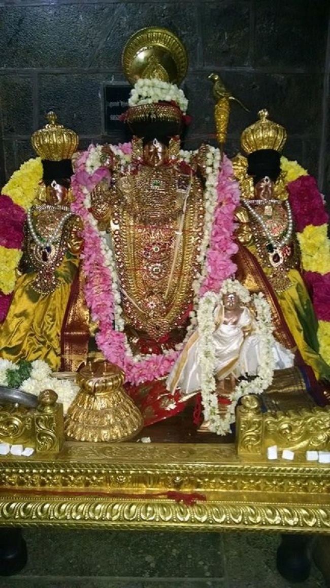 Thiruvahindrapuram Sri Devanathan Perumal Temple ThiruPavithrothsavam Concludes16