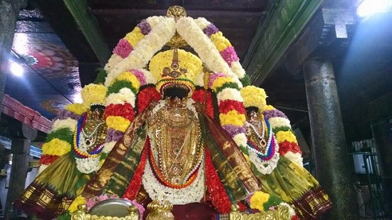 Thiruvahindrapuram Sri Devanathan Perumal Temple ThiruPavithrothsavam Concludes19