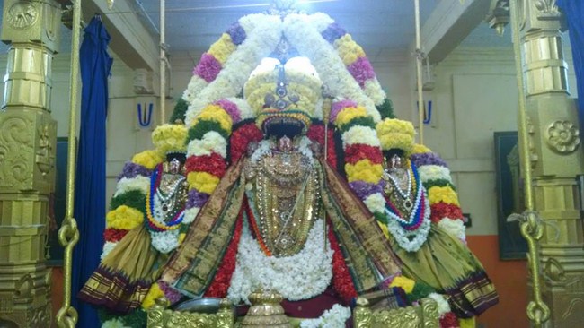 Thiruvahindrapuram Sri Devanathan Perumal Temple ThiruPavithrothsavam Concludes3