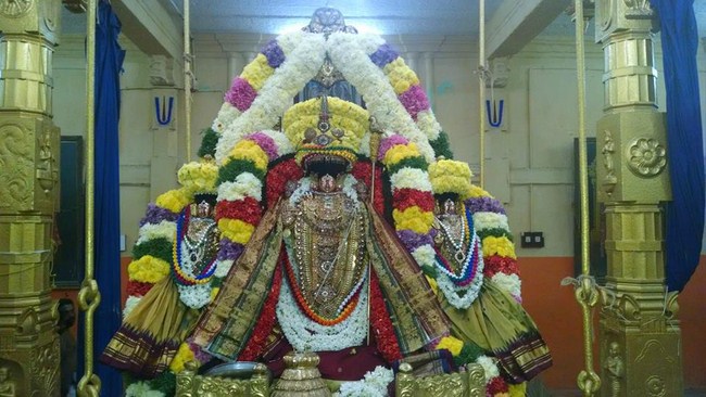 Thiruvahindrapuram Sri Devanathan Perumal Temple ThiruPavithrothsavam Concludes4
