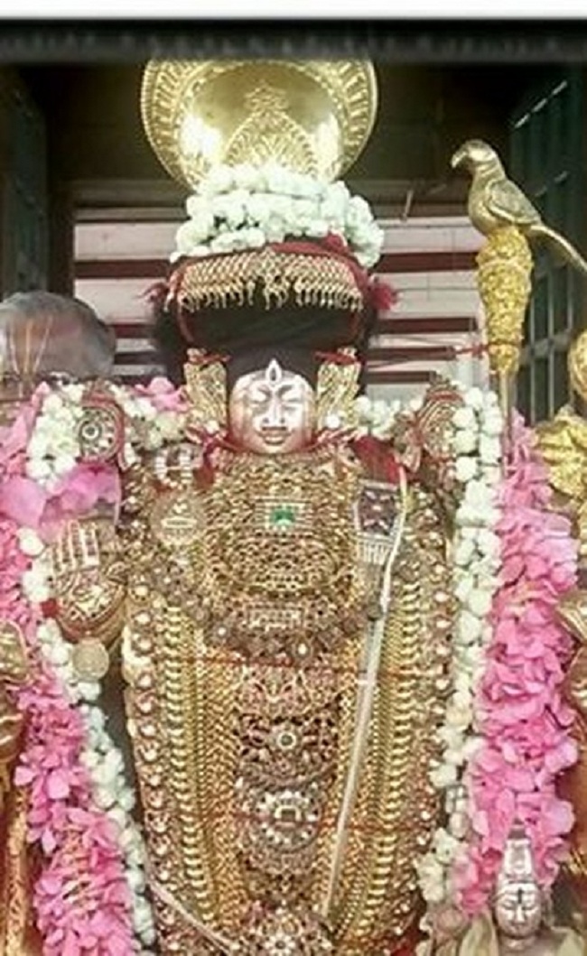 Thiruvahindrapuram Sri Devanathan Perumal Temple ThiruPavithrothsavam Concludes5