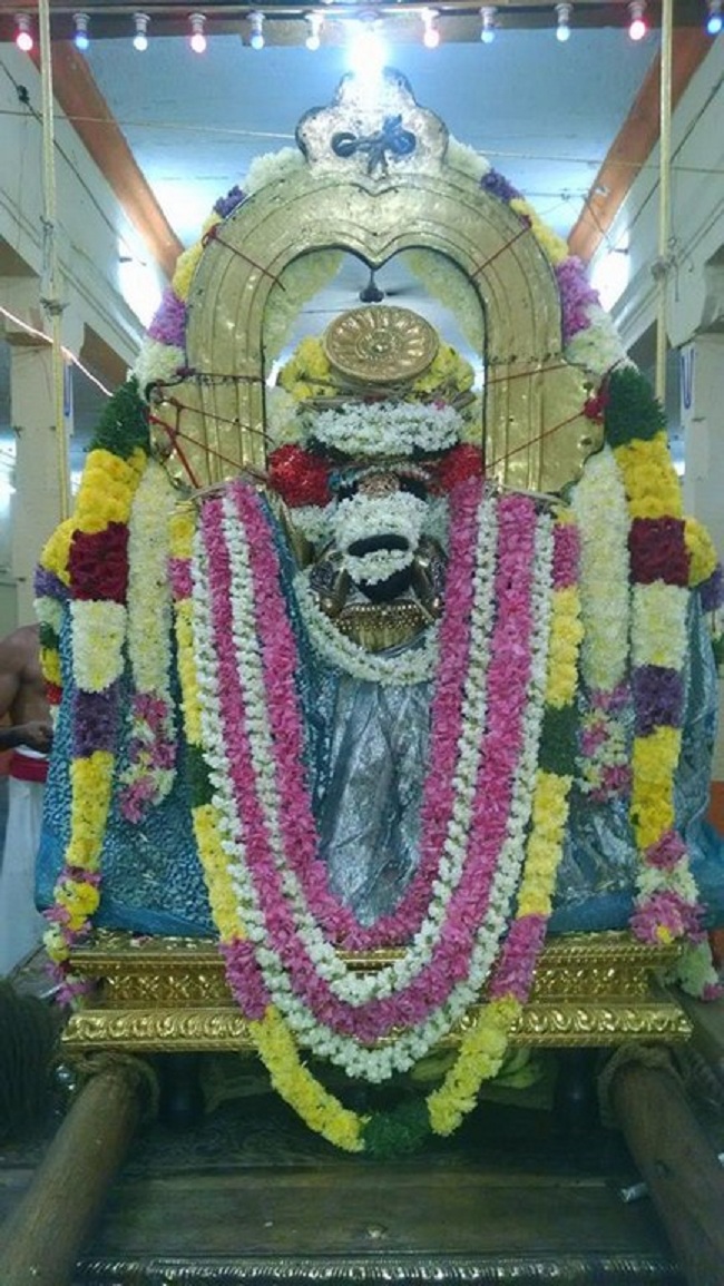Thiruvahindrapuram Sri Devanathan Perumal Temple ThiruPavithrothsavam Concludes8