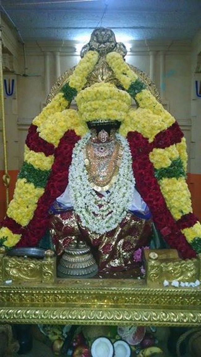 Thiruvahindrapuram Sri Devanathan Perumal Temple ThiruPavithrothsavam1