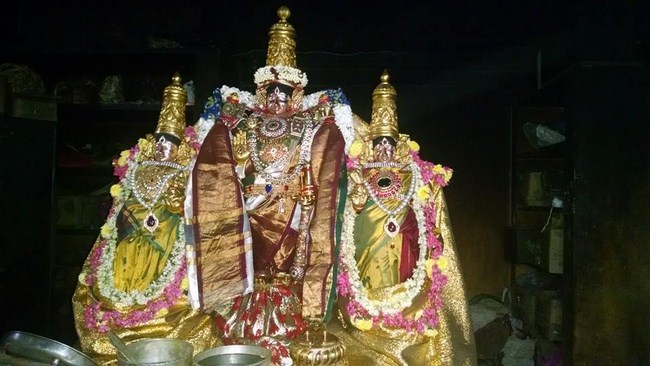 Thiruvahindrapuram Sri Devanathan Perumal Temple ThiruPavithrothsavam11