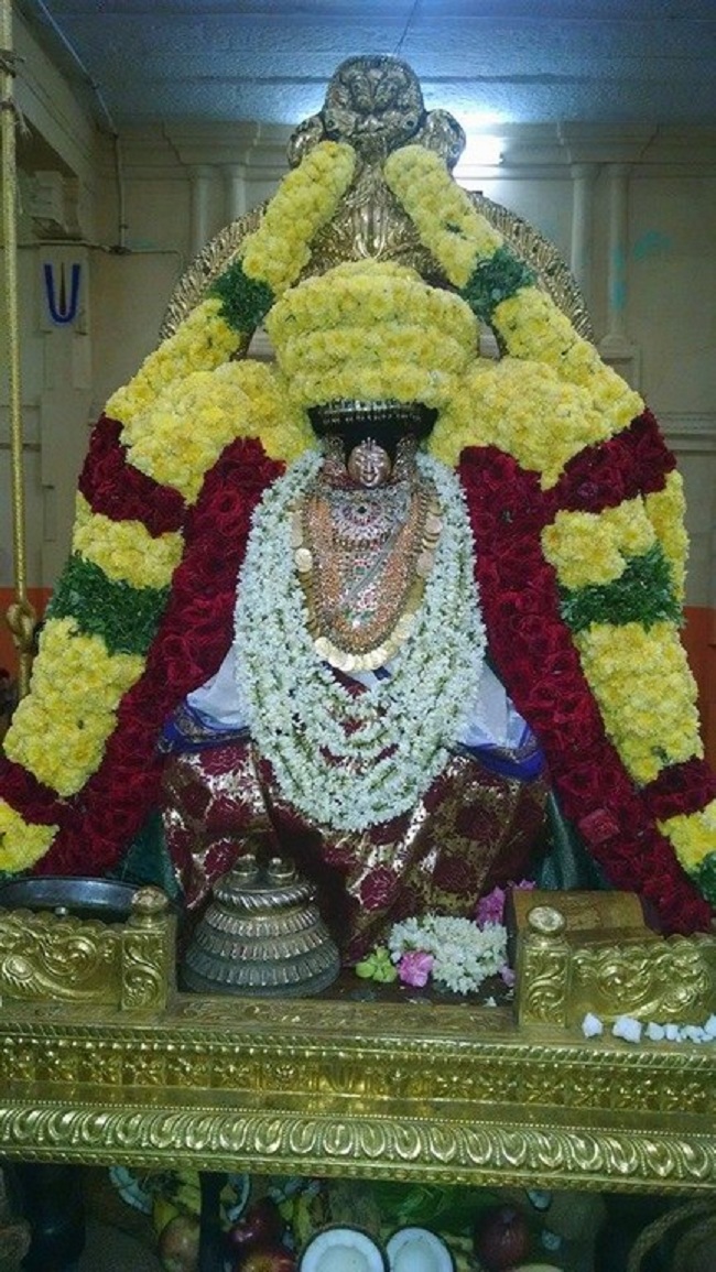 Thiruvahindrapuram Sri Devanathan Perumal Temple ThiruPavithrothsavam6
