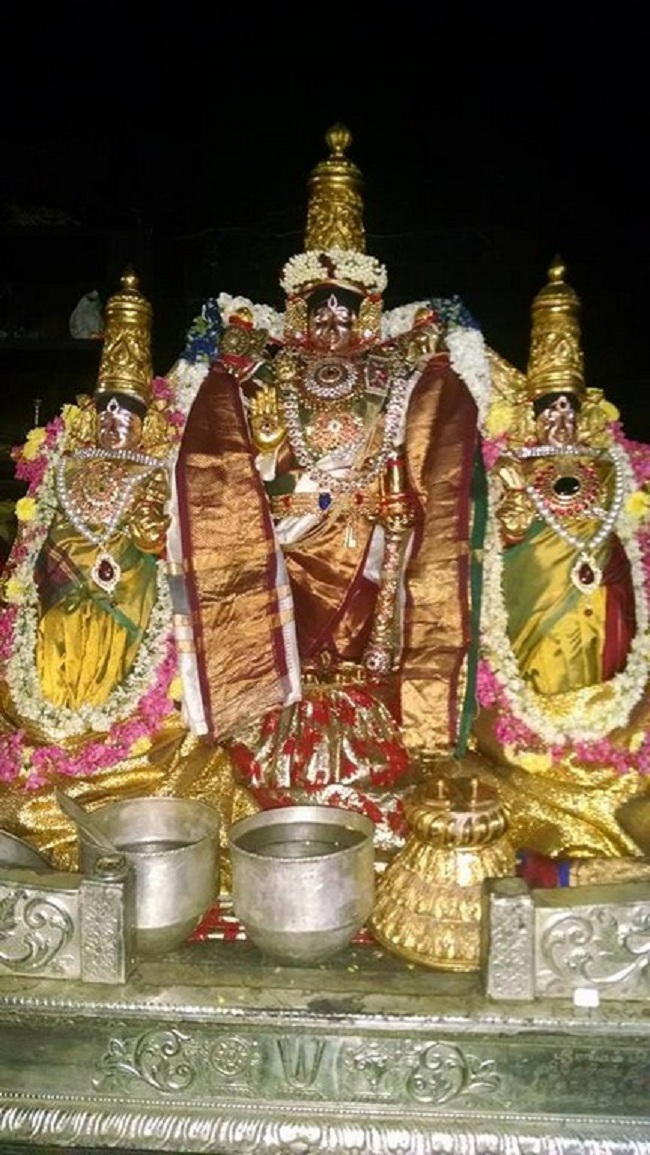Thiruvahindrapuram Sri Devanathan Perumal Temple ThiruPavithrothsavam8
