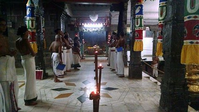 Thiruvahindrapuram Sri Devanathan Perumal Temple ThiruPavithrothsavam9