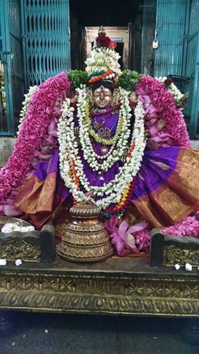 Thiruvahindrapuram Sri Hemabujavalli Thayar Vellikizhamai Purappadu1
