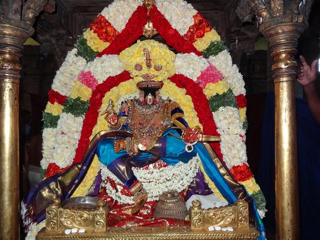 Thiruvahindrapuram Swami Desikan Varshika Thirunakshatra Mahotsavam 16
