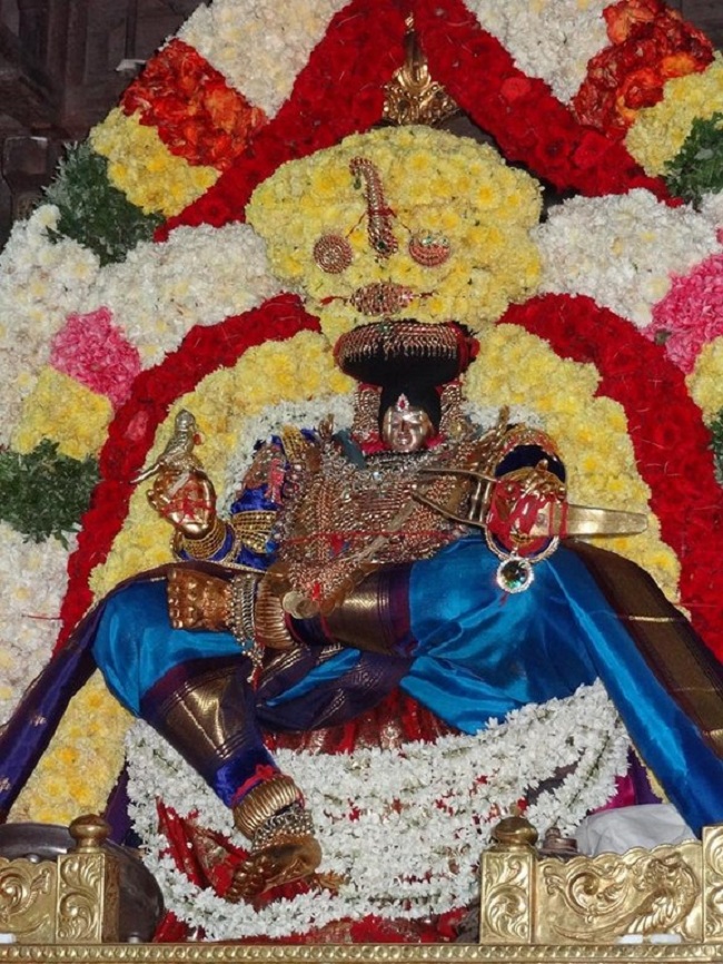 Thiruvahindrapuram Swami Desikan Varshika Thirunakshatra Mahotsavam 8
