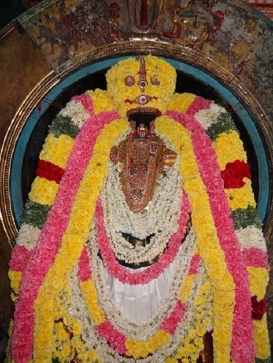 Thiruvahindrapuram Swami Desikan Varshika Thirunakshatra Mahotsavam11