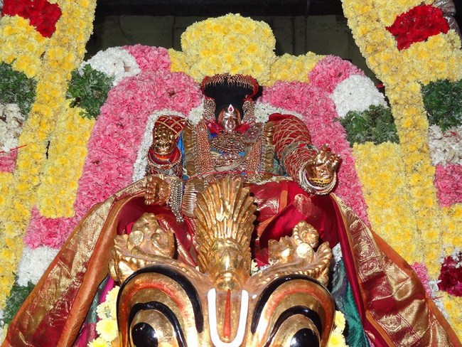 Thiruvahindrapuram Swami Desikan Varshika Thirunakshatra Mahotsavam20