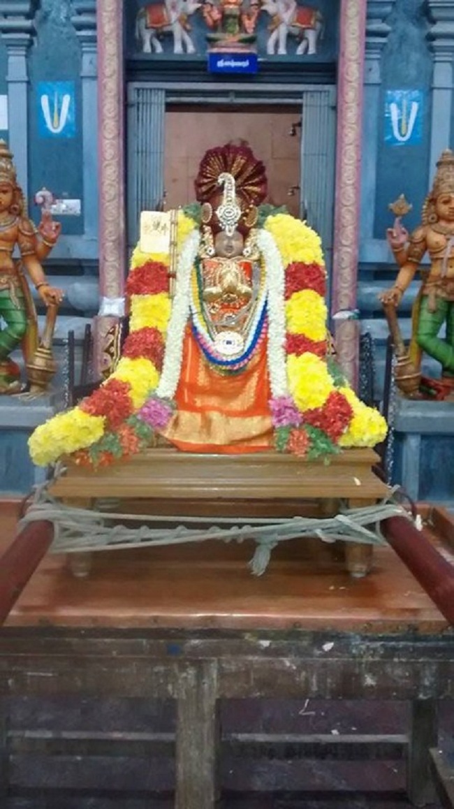 Thiruvallikeni Ahobila Mutt Srimath Adhivan Sathakopa Yathindra Maha Desikan Thirunakshatra Utsavam4