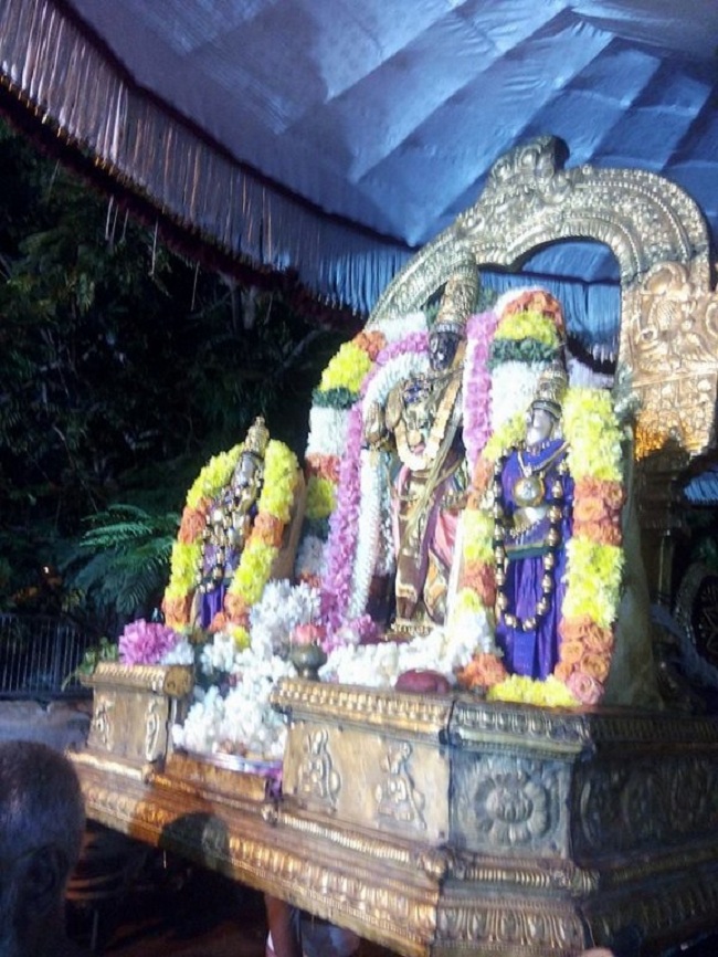Thiruvallikeni Sri Parthasarathy Perumal Temple Ammavasi Purappadu1