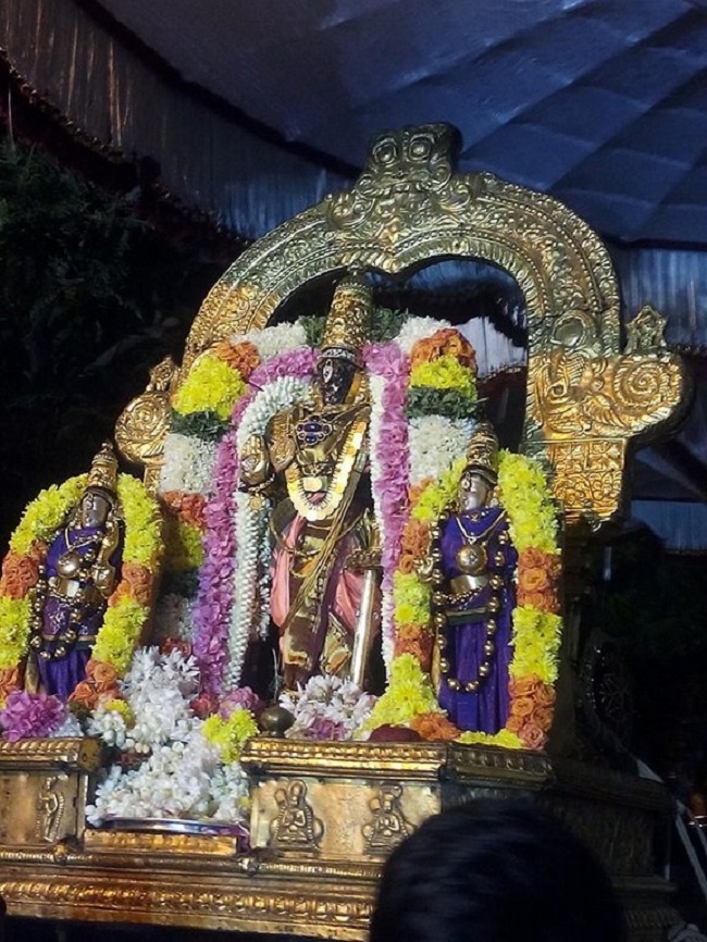 Thiruvallikeni Sri Parthasarathy Perumal Temple Ammavasi Purappadu2