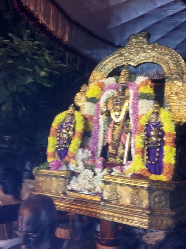 Thiruvallikeni Sri Parthasarathy Perumal Temple Ammavasi Purappadu4
