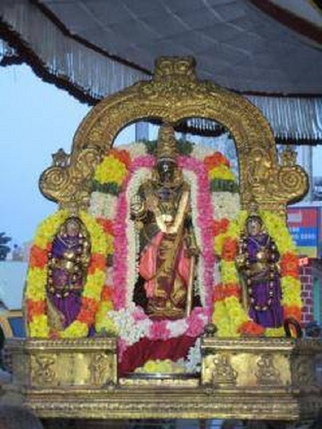 Thiruvallikeni Sri Parthasarathy Perumal Temple Ammavasi Purappadu5