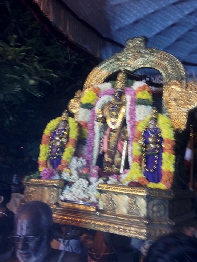 Thiruvallikeni Sri Parthasarathy Perumal Temple Ammavasi Purappadu7