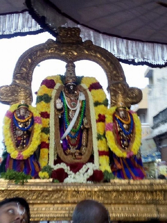 Thiruvallikeni Sri Parthasarathy Perumal Temple ThiruPavithrotsavam Commences1