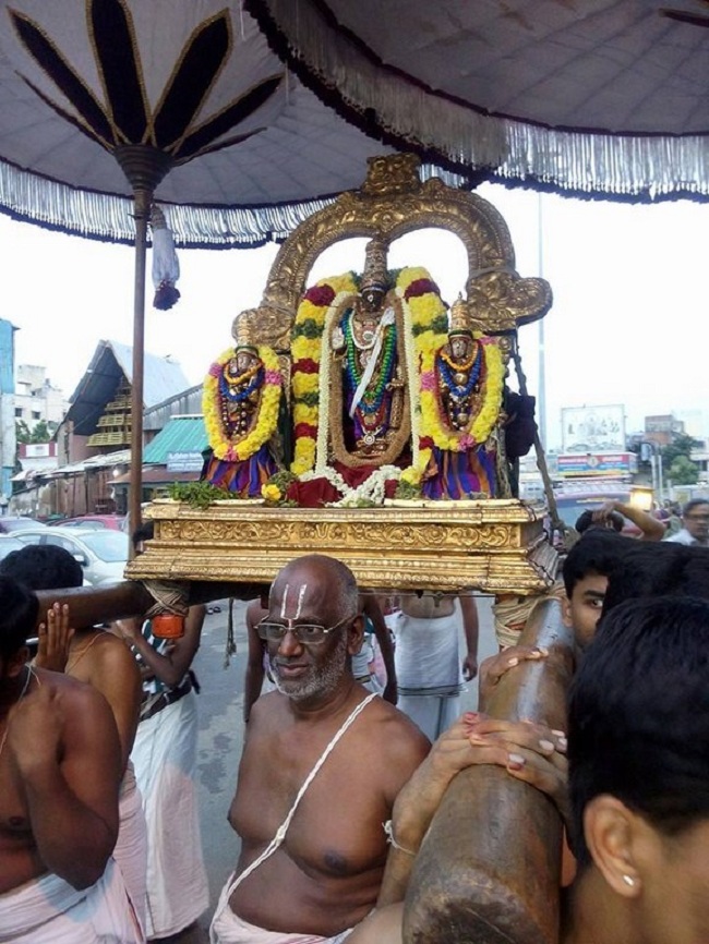 Thiruvallikeni Sri Parthasarathy Perumal Temple ThiruPavithrotsavam Commences6