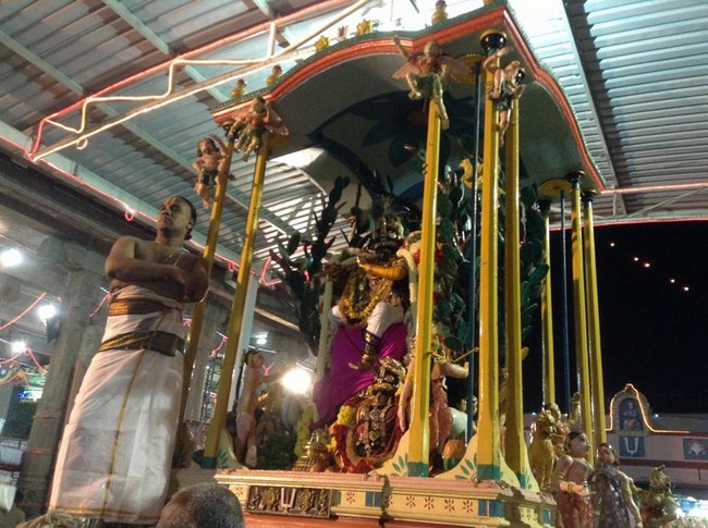 Thiruvallikeni Sri Parthasarathy Perumal Temple Uriyadi Utsavam17