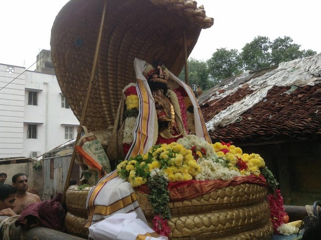 Thiruvallikeni Sri Parthasarathy Perumal Temple Uriyadi Utsavam6