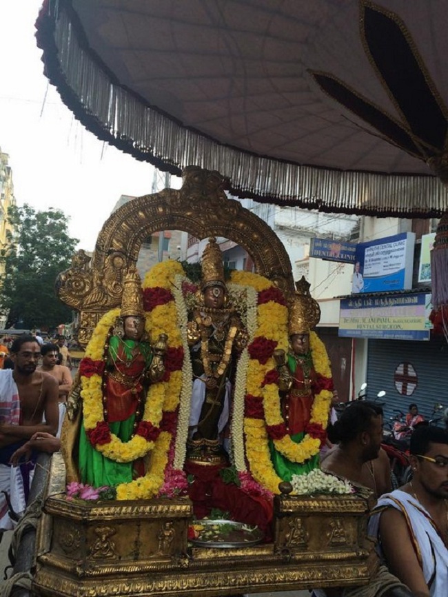 Thiruvallikeni Thelliya Singar Purattasi Sani Kizhamai Purappadu5