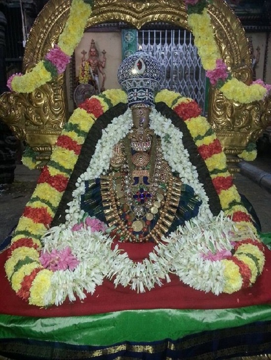Thiruvallur Sri Veeraraghava Perumal Temple Navarathiri Utsavam12