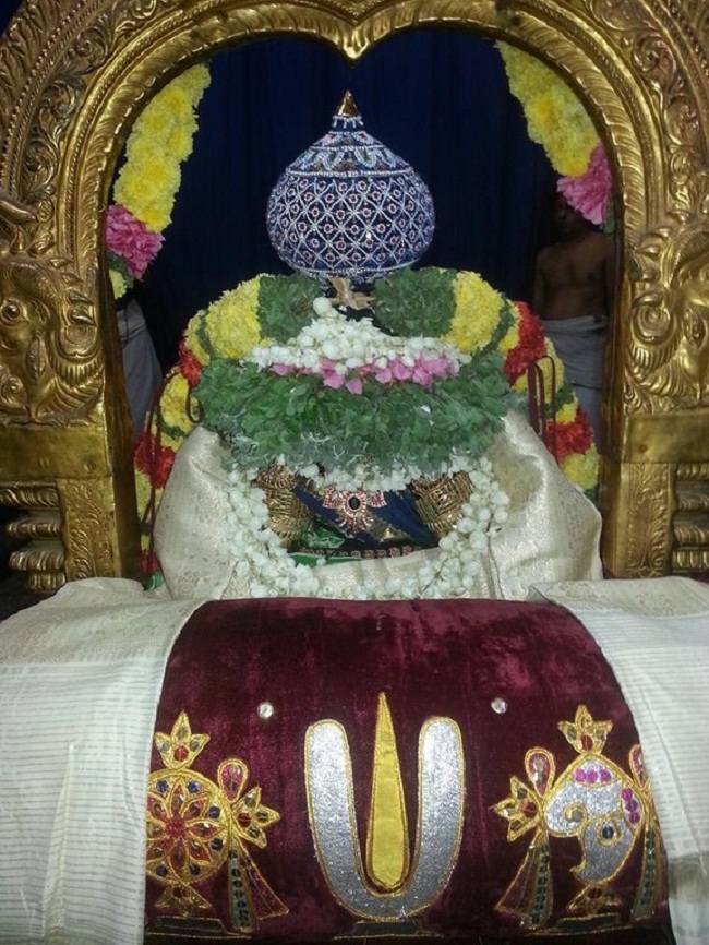 Thiruvallur Sri Veeraraghava Perumal Temple Navarathiri Utsavam13