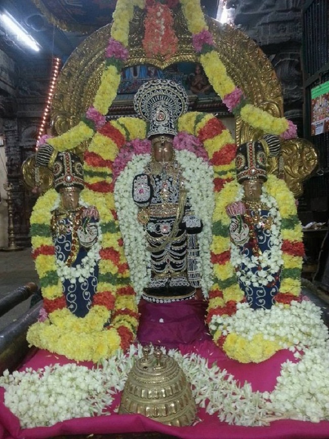 Thiruvallur Sri Veeraraghava Perumal Temple Navarathiri Utsavam4