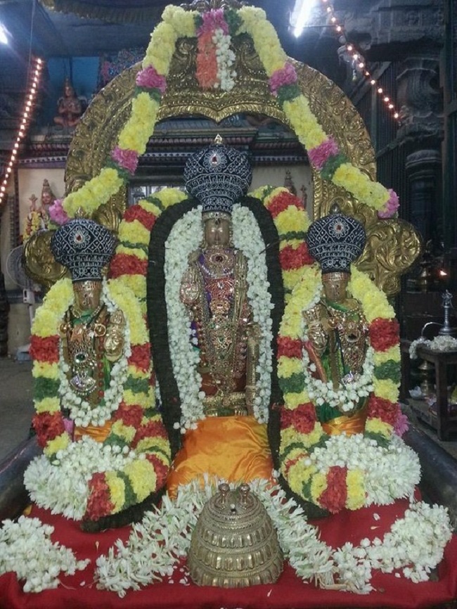 Thiruvallur Sri Veeraraghava Perumal Temple Navarathiri Utsavam5