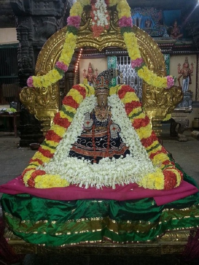 Thiruvallur Sri Veeraraghava Perumal Temple Navarathiri Utsavam6