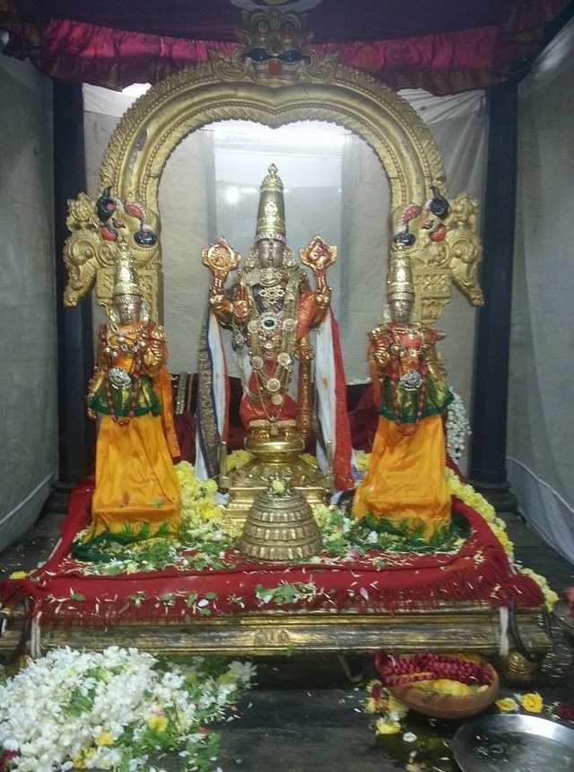 Thiruvallur Sri Veeraraghava Perumal  Temple Pavithrotsavam day 72014 01