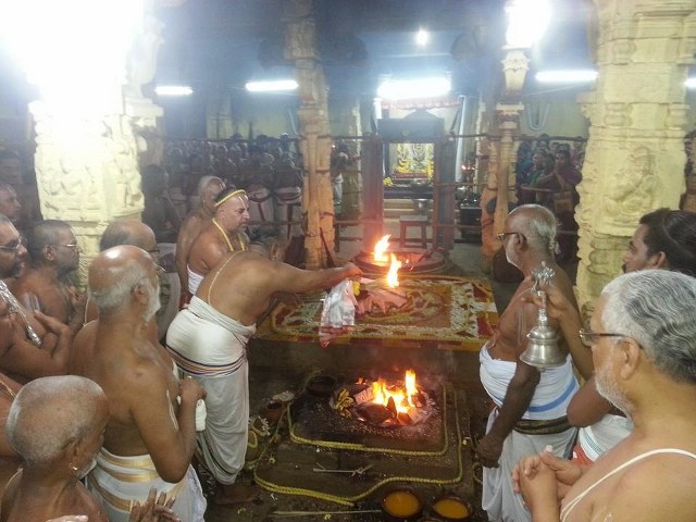 Thiruvallur Sri Veeraraghava Perumal  Temple Pavithrotsavam day 72014 03