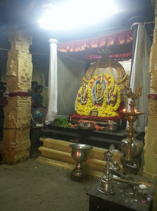 Thiruvallur Sri Veeraraghava Perumal  Temple Pavithrotsavam day 72014 04